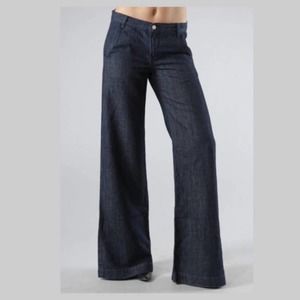 J Brand Palazzo Wide Flare Leg Pant Jeans 26